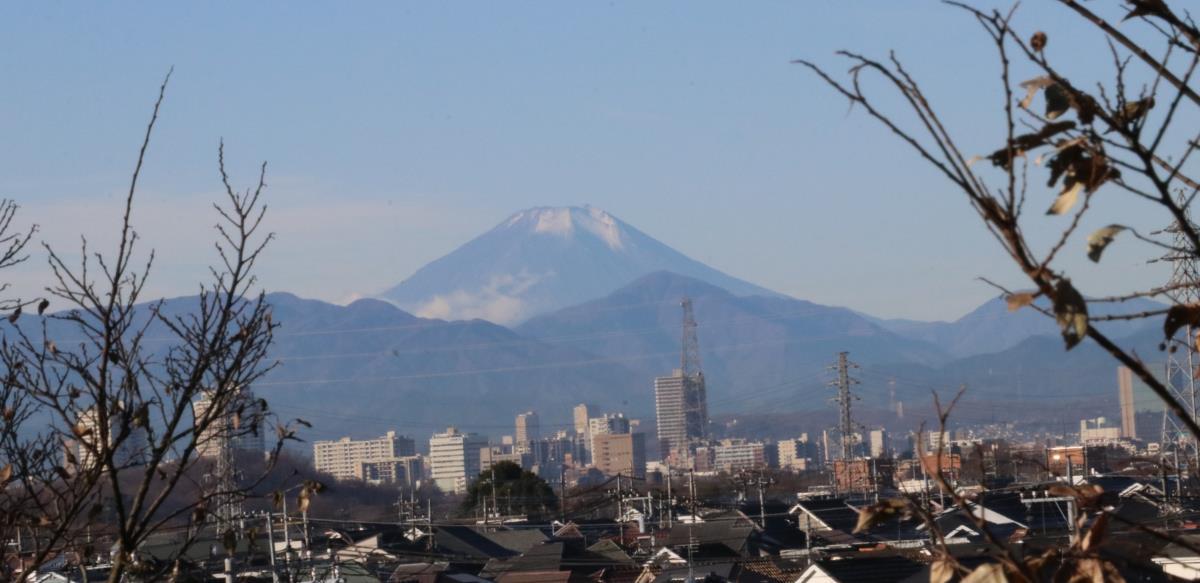 スライド画像